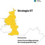 strategia_IIT