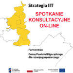 Strategia IIT – zapraszamy na spotkanie konsultacyjne (on-line)