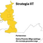 Strategia_IIT